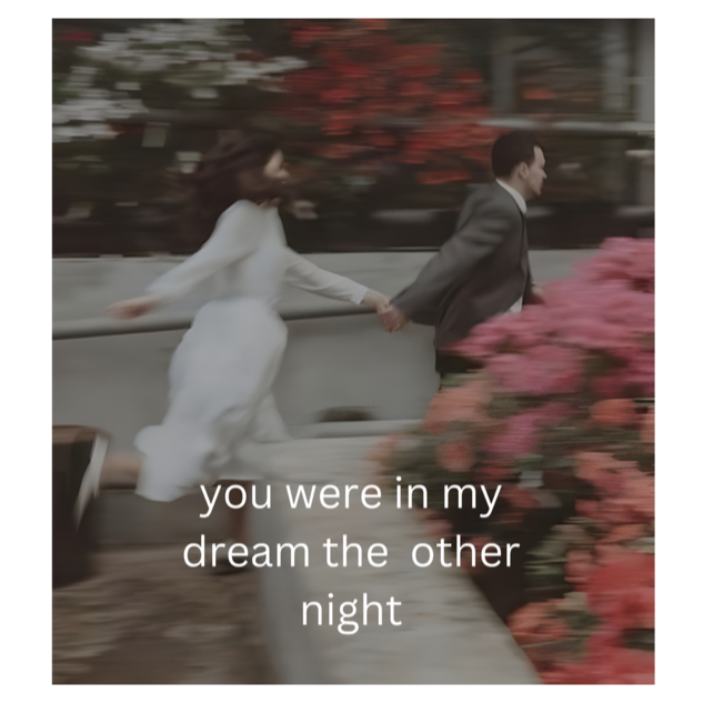 you were in my  dreams last night